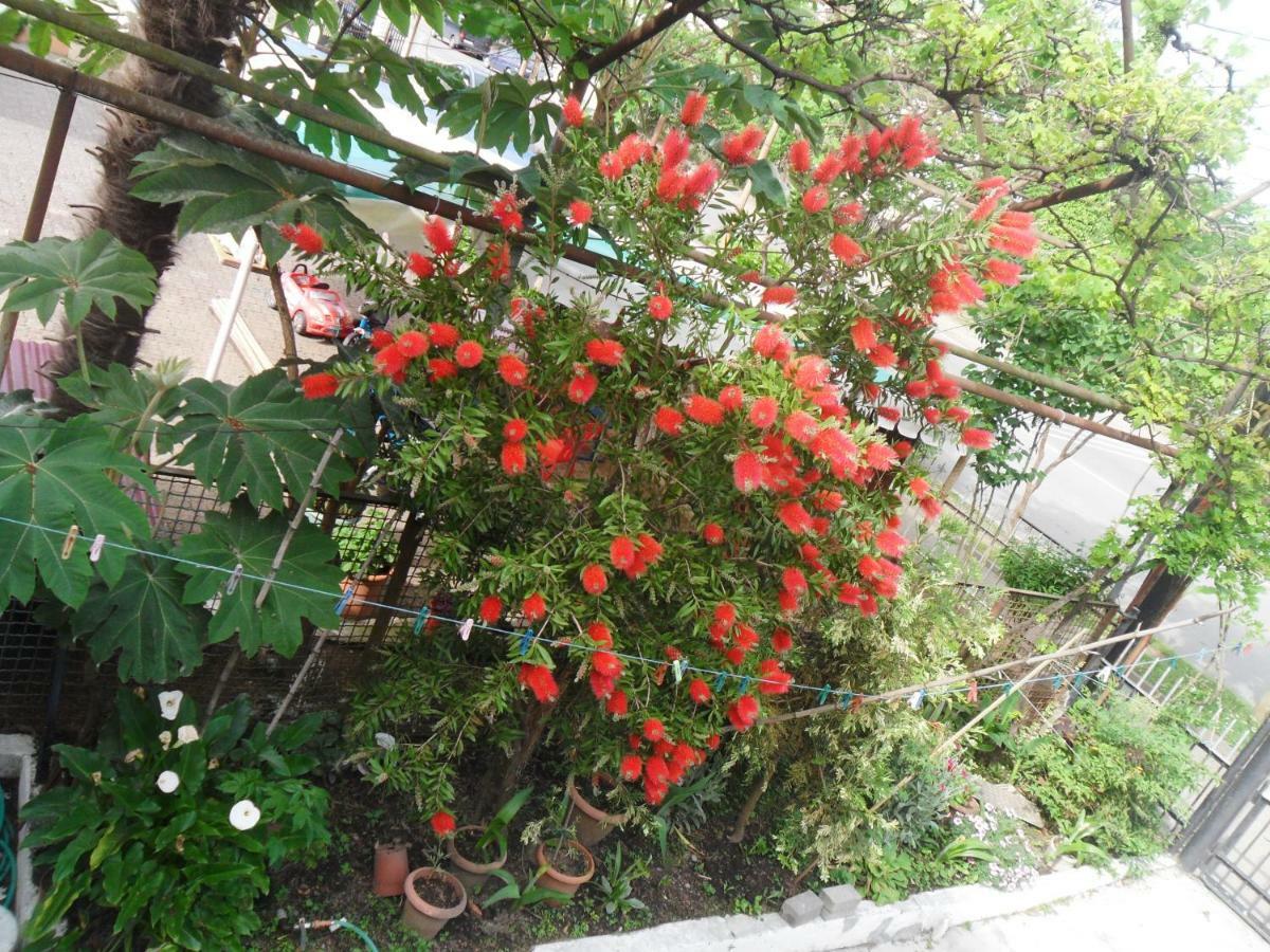 Guest House Nika 科布列季 外观 照片